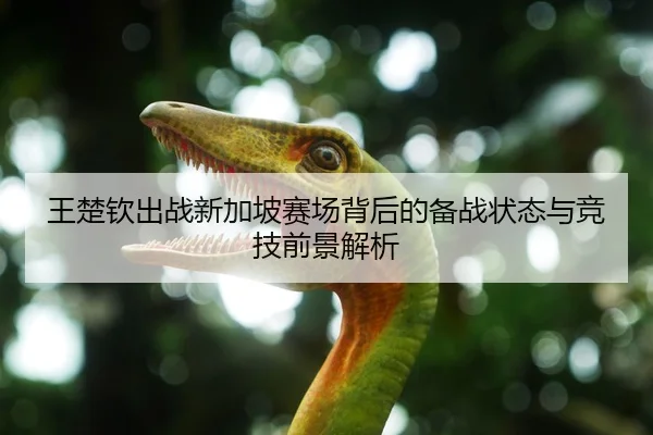 王楚钦出战新加坡赛场背后的备战状态与竞技前景解析